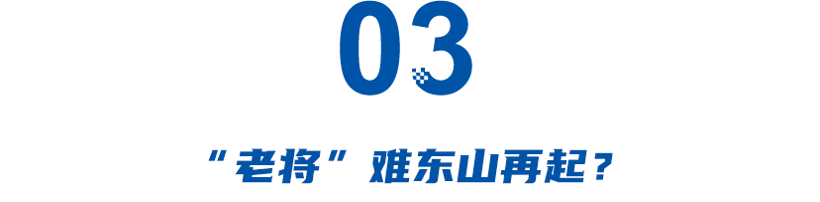 36.28万起？全新国产普拉多即将预售，坦克500、豹5夹击下，还能“霸道”？